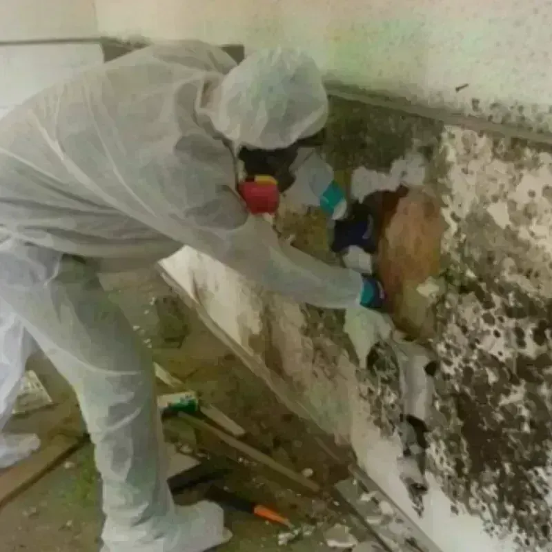 Mold Remediation and Removal in Boca Del Mar, FL